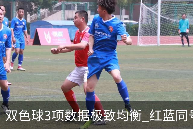 双色球3项数据极致均衡 红蓝同号或成制胜法宝